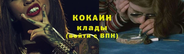 ALPHA PVP Куйбышев