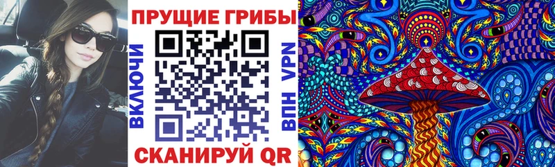 Галлюциногенные грибы ЛСД  omg зеркало  Гдов 